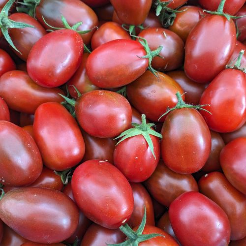 Black Plum Tomato