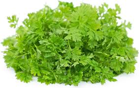 Micro Chervil
