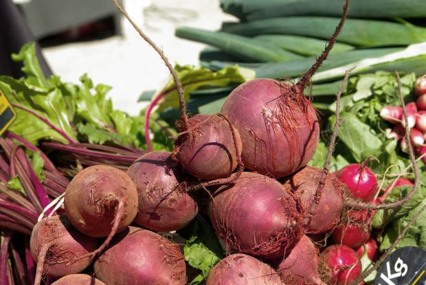 Roots Beetroot Jannis