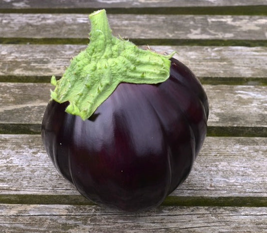 Organic Aubergine Black Beauty