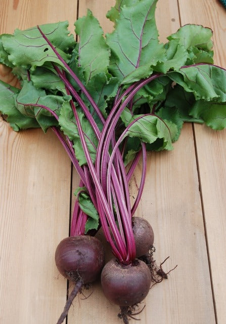 Organic Beetroot Jannis (Graded)