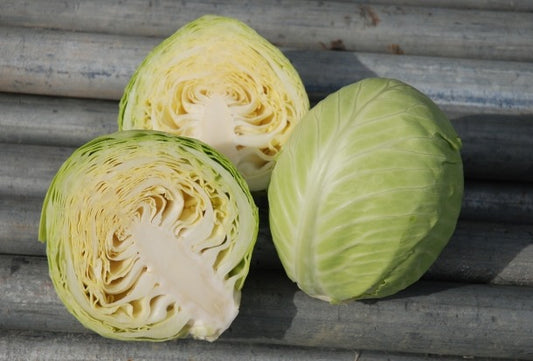 Organic Cabbage, Winter Dottenfelder Dauer