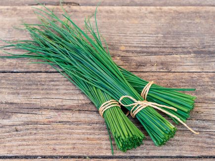 Chives