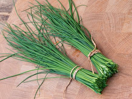 Chives broad leaf