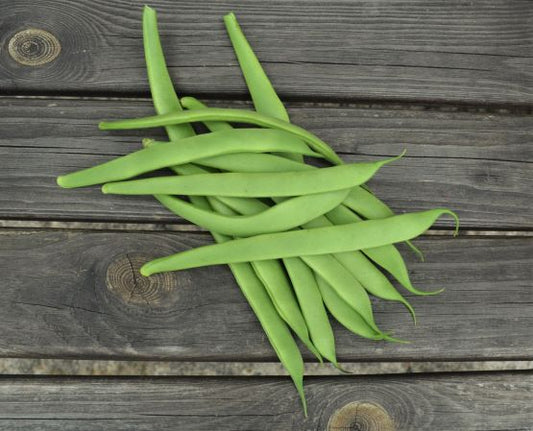 Organic Beans (french Dwarf) Nassau