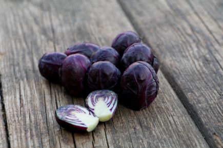 Organic Brussels Sprouts Rokero
