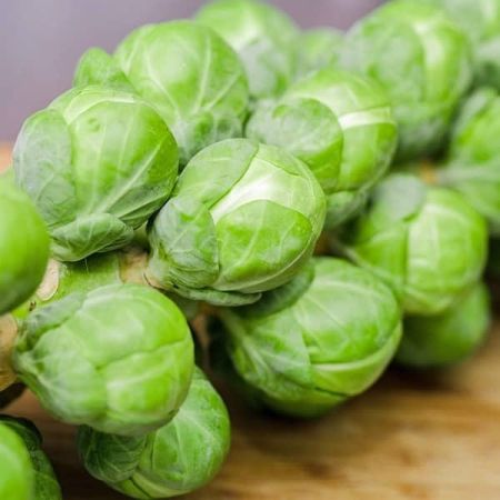 Brussels Sprouts Idemar