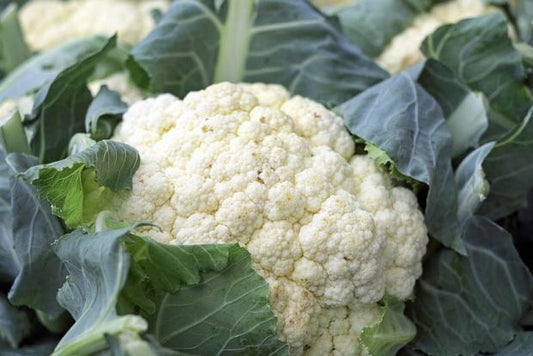 Cauliflower