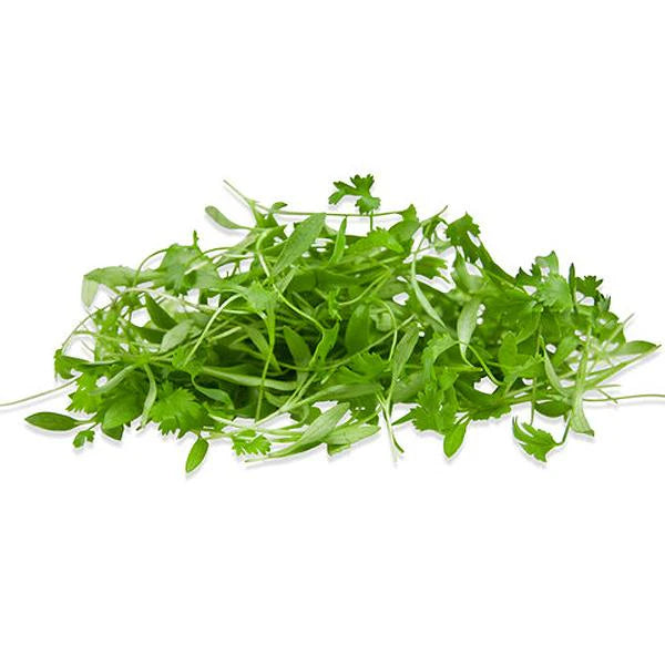 micro coriander
